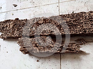 wood eaten by termites until it runs out and crumbles