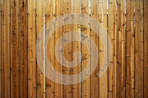 Wood Fence Backdrop