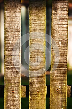 Wood fence on blurred background texture