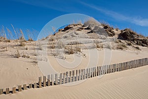 Wood fence buried in sand.