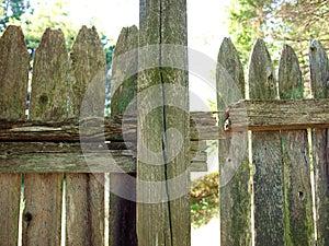 Wood fence - damaged