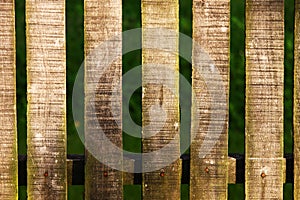 Wood fence on green background texture