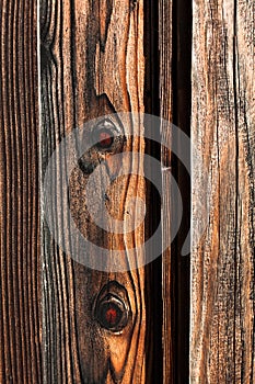 Wood Fence Plank with Knots