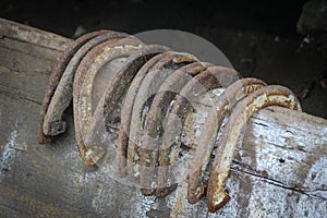 Wood fence rail holding ten lucky antique horse shoes.