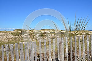 wood fence and sand dunes at the beach