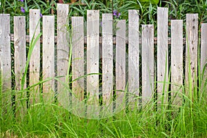 wood fence texture pattern background with green grass