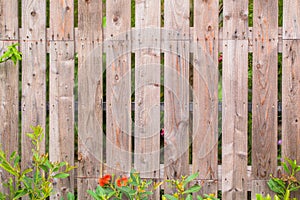 wood fence texture pattern background with green grass