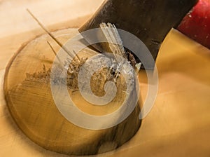 Wood Fibers and a Hatchet in Motion