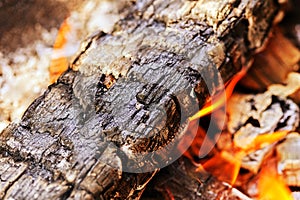 Wood fire