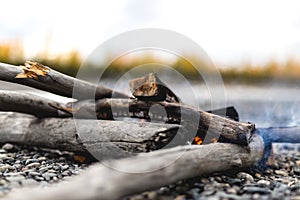 Wood Fire in Alaska With Half Turned Fall Trees