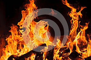 Wood fire on black background