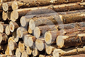 Wood for fireplaces.