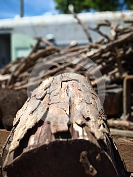 wood firewood carbon close-up to the trunk texture