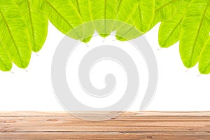 Wood floor on Banana Leaf frame on white background.