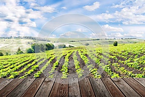 Wood floor on natural beautiful rural landscape with sky, clouds and sunlight. background for promote,show,advertising product