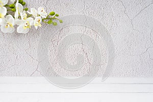 The Wood floor and old cement wall with white orchid decorate, empty room for background