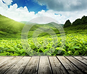 Madera piso sobre el té plantación tierras altas 