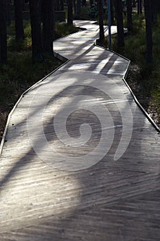 Wood flooring walkway in a forest park