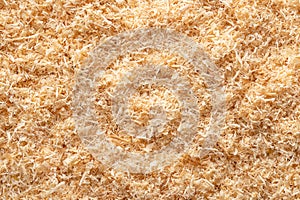 Wood flour, wood powder, surface of fine sawdust, finely pulverized wood