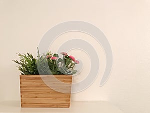 Wood flowerpot on white wall background