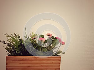 Wood flowerpot on white wall background
