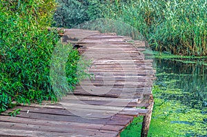 Wood footpath in Dal Lake, Srinagar