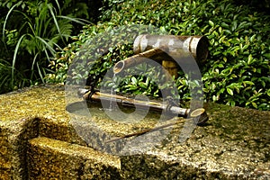 Wood fountain