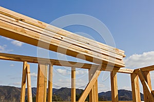 Wood Frame for Building