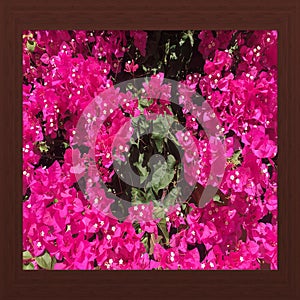 Wood frame with old background. Wooden picture frame. Empty old barn wood frame. Old picture frame isolated on background.