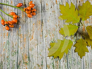 Wood with fruits of autumn to use as background with space for text