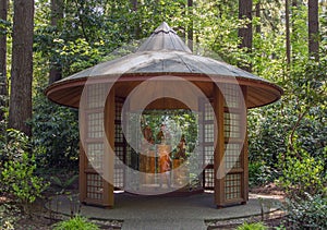 Wood gazebo