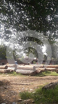 Wood godowen in Jhelum Pakistan