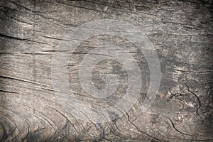 Wood grain background, blank for design