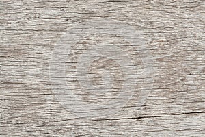 wood grain background, img