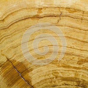 Wood grain background texture