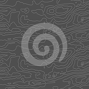 Wood grain black texture. Seamless wooden pattern. Abstract line background. Tree fiber vector