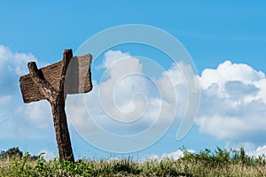 Wood grain cement sign with blue sky in summer for background.