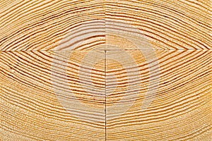 Wood grain close up on wood blocks