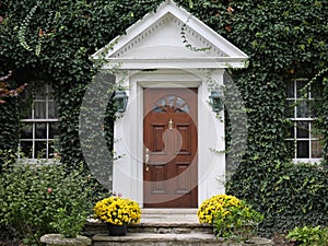 Wood grain front door of house, surrounded by ivy