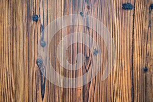 Red oak White oak Ash wood Cherry wood Soft maple Hard maple Walnut wood Black walnut Tulip poplar Alder photo