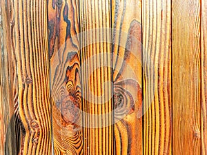 Red oak White oak Ash wood Cherry wood Soft maple Hard maple Walnut wood Black walnut Tulip poplar Alder photo