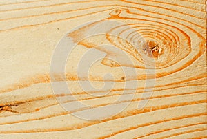 Red oak White oak Ash wood Cherry wood Soft maple Hard maple Walnut wood Black walnut Tulip poplar Alder photo