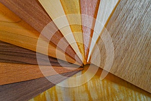 Red oak White oak Ash wood Cherry wood Soft maple Hard maple Walnut wood Black walnut Tulip poplar Alder photo