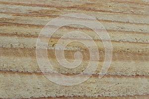 Wood Grain Plywood Background