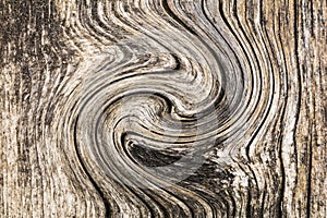 Wood grain spiral swirl wooden pattern vector