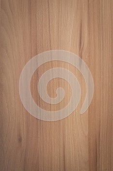 Wood grain texture.