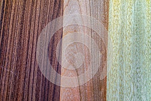 Wood grain Wood texture and wood background photo