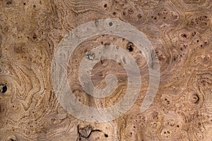 Wood grain texture, exotic veneer background