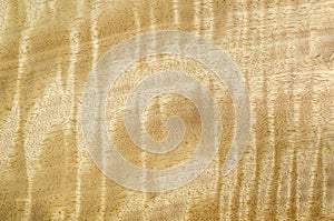 Wood grain texture, exotic veneer background photo