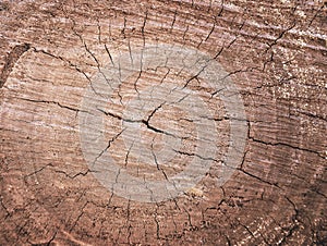 Wood grain texture of old tree stump with cracks in brown tone f